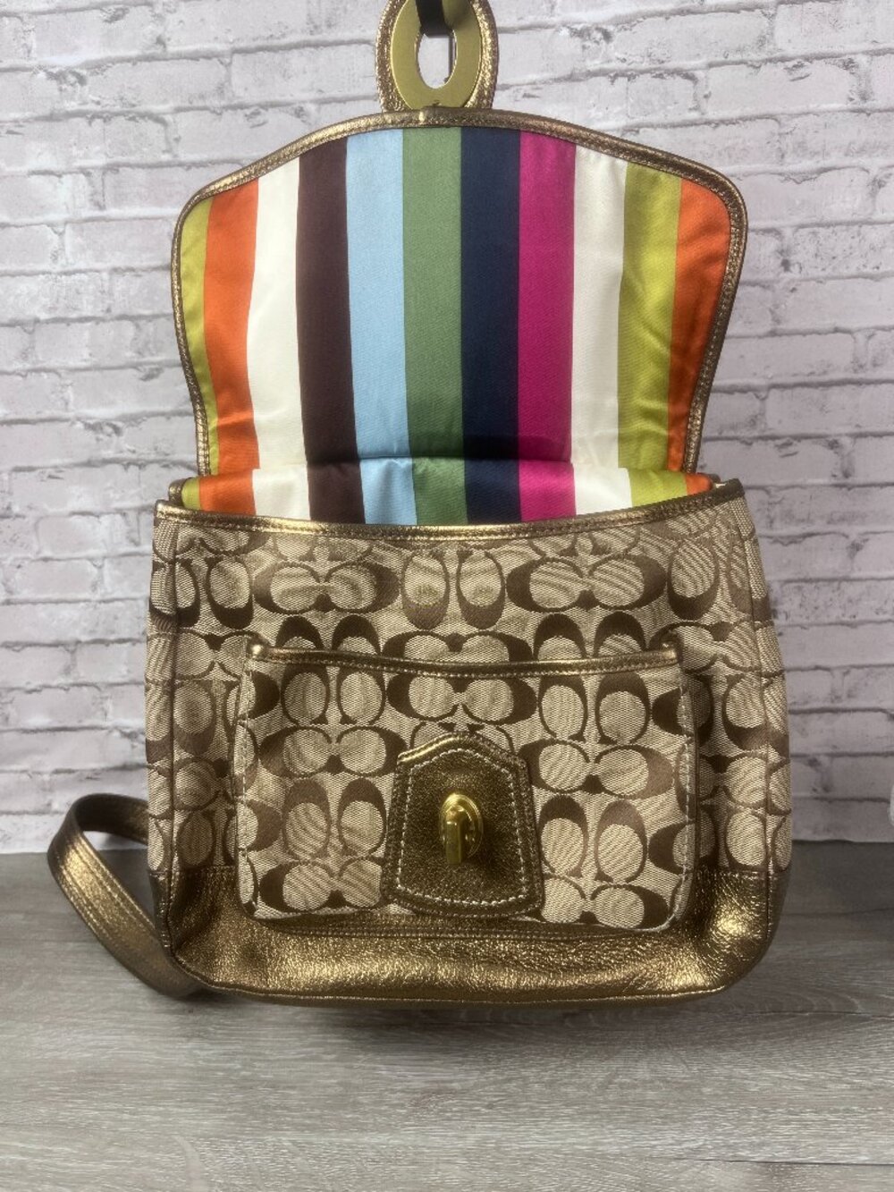 Coach 65th LIMITED EDITION Legacy Vaachetta Leather Hippie Bag 10336